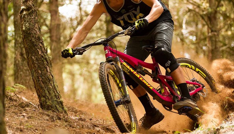 fashion apparel_790x454.jpg